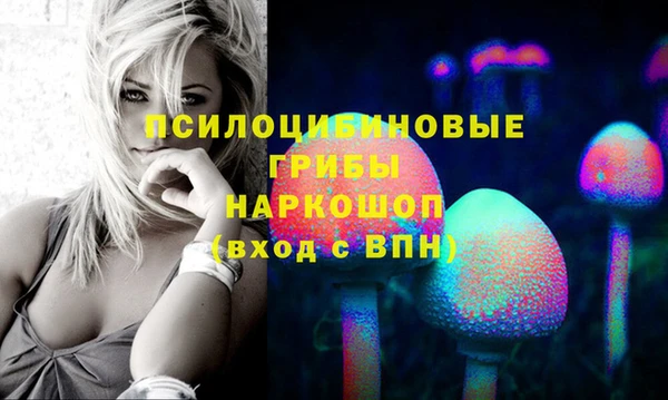 винт Бородино
