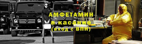 сатива Верея